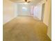 Bright and spacious living room with carpet and ceiling fan at 1375 Doolittle Ln # 101, Dunedin, FL 34698