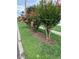 Community landscaping showcasing beautiful pink flowering trees along the sidewalk at 1799 N Highland Ave # 170, Clearwater, FL 33755