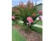 Well-manicured landscaping featuring pink flowering trees along the sidewalk at 1799 N Highland Ave # 170, Clearwater, FL 33755