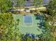 Aerial view of the community basketball court surrounded by mature trees at 19487 Roseate Dr, Lutz, FL 33558