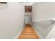 Staircase with carpeted steps and a white handrail, leading to the lower level of the home at 19487 Roseate Dr, Lutz, FL 33558