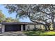 Charming single-story home featuring a well-manicured lawn and mature tree shading the front at 2904 W Marlin Ave, Tampa, FL 33611