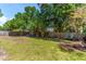 Large backyard with mature trees, new landscaping, and lawn, a great space for recreation and relaxation at 3005 W Helen Ave, Tampa, FL 33611