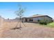 A fenced yard featuring newly planted tree at 35029 Brackett Bnd, Zephyrhills, FL 33541
