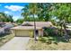 Charming single-story home featuring stone accents, a well-manicured lawn, and a mature palm tree in the front yard at 4101 Hollowtrail Dr, Tampa, FL 33624