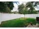 A green backyard with grass, a tree, and a white fence on a sunny day at 4106 N Thatcher, Tampa, FL 33614