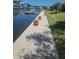 Waterfront view featuring a dock, a concrete walkway and lush landscaping along the canal at 5105 Bonito Dr, New Port Richey, FL 34652