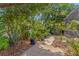 Lush backyard with a stone pathway, a cozy chair, and vibrant plants, offering a tranquil outdoor retreat at 6407 E 112Th Ave, Temple Terrace, FL 33617