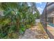 Lush landscaping along a stone path, with vibrant tropical plants creating a private backyard oasis next to a screened lanai at 6407 E 112Th Ave, Temple Terrace, FL 33617