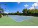 Well-maintained tennis court with a blue playing surface and green surroundings, perfect for sports enthusiasts at 715 Pinckney Dr, Apollo Beach, FL 33572