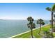 Stunning water view featuring palm trees, green grass, and gentle waves under a clear blue sky at 7540 Sunshine Skyway S Ln # 219, St Petersburg, FL 33711