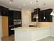 Modern kitchen with dark cabinets, a stainless steel oven, and white quartz countertops at 843 Steel Dr, Apollo Beach, FL 33572