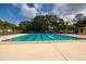 Community pool with marked lanes and plenty of lounge chairs for relaxing at 11708 Raintree Village Blvd # A, Temple Terrace, FL 33617