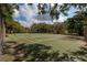 Tennis court with greenery and a large shade tree at 11708 Raintree Village Blvd # A, Temple Terrace, FL 33617