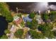 Expansive aerial view showcasing the property's waterfront location and serene surroundings with mature trees at 13548 Lake Magdalene Dr, Tampa, FL 33613