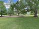 Expansive backyard featuring lush green grass and mature trees, creating a serene outdoor space at 14205 Cypress Ter, Tampa, FL 33618