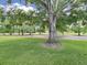 Lush backyard with mature trees, offering a peaceful and shaded environment at 14205 Cypress Ter, Tampa, FL 33618