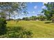 Expansive backyard with lush greenery and mature trees, offering ample space and natural beauty at 16503 W Course Dr, Tampa, FL 33624
