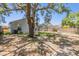 The fenced backyard features a large tree, mature landscaping and a screened lanai, perfect for outdoor gatherings and relaxation at 18013 Palm Breeze Dr, Tampa, FL 33647