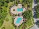Aerial view of two large pools, lovely landscaping, and surrounding palm trees at 19129 Lake Audubon Dr, Tampa, FL 33647