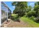 Lush green backyard with a screened-in lanai, mature trees, and landscaping at 19129 Lake Audubon Dr, Tampa, FL 33647