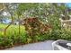 Backyard lush with greenery and plants, creating a private outdoor space at 2286 Norwegian Dr # 8, Clearwater, FL 33763