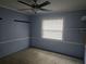 Bedroom with blue walls, neutral carpet, a ceiling fan, and window at 23015 Mayfair Rd, Land O Lakes, FL 34639