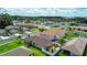 Beautiful backyard and neighborhood featuring a well-manicured lawns with palm trees at 25830 Crippen Dr, Land O Lakes, FL 34639