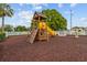 Community playground featuring a wooden play structure with slide, climbing wall and other fun features at 25830 Crippen Dr, Land O Lakes, FL 34639