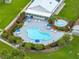 Aerial view of a community pool with lounge chairs and umbrellas surrounded by manicured landscaping at 35051 Colony Hills Dr, Zephyrhills, FL 33541