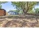 Large backyard with mature trees, wooden shed, and a blue house with ample outdoor space at 5304 Cherry Ave, Seffner, FL 33584