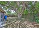 View of the home's backyard including a mature tree, fencing, and patio at 1005 Hardwood Dr, Valrico, FL 33596