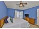 Blue bedroom with a ceiling fan, ample natural light, and comfortable furnishings at 1005 Hardwood Dr, Valrico, FL 33596