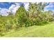 Lush green backyard featuring well-maintained lawn and mature trees for privacy at 1015 Seagrape Dr, Ruskin, FL 33570