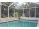 Sparkling screened-in swimming pool with a clear blue water and a ladder for easy access at 11312 Brussels Boy Ln, Riverview, FL 33578
