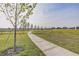Expansive green community field with a paved walking path, perfect for outdoor activities and leisurely strolls at 11688 Brighton Knoll Loop, Riverview, FL 33579