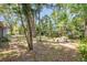 Lush backyard with mature trees and stone picnic table creating a peaceful outdoor space at 1242 Nelson St, Dunedin, FL 34698