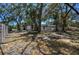 A view of the home's backyard featuring scattered foliage at 1247 21St St, Sarasota, FL 34234