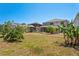 Expansive backyard with lush landscaping, screened lanai, and ample space for outdoor activities at 12935 Solola Way, Trinity, FL 34655