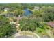 Aerial view of neighborhood homes surrounded by mature trees and a scenic lake at 13906 Captains Reef Ct, Tampa, FL 33624