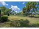 Lush backyard with pond view and palm trees, offering a private and serene outdoor oasis at 13906 Captains Reef Ct, Tampa, FL 33624
