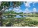 Backyard featuring a pond with mature trees, landscaping, and view of the home at 13906 Captains Reef Ct, Tampa, FL 33624
