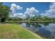 Picturesque pond view with surrounding trees, offering a serene and natural setting at 13906 Captains Reef Ct, Tampa, FL 33624