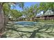 Community tennis court surrounded by mature trees and protective fences at 1486 Mahogany Ln # 703, Palm Harbor, FL 34683