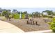 Community playground with climbing structures, a slide, and benches at 2644 Leafwing Ct, Palm Harbor, FL 34683