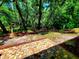 View of the spacious yard with lush green landscaping from brick patio at 3529 Tanglewood Trl, Palm Harbor, FL 34685