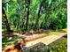 View of the spacious yard with lush green landscaping from brick patio at 3529 Tanglewood Trl, Palm Harbor, FL 34685