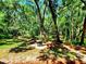 Lush backyard retreat with mature trees, offering shade and privacy, complete with an outdoor fire pit area at 3529 Tanglewood Trl, Palm Harbor, FL 34685