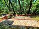 Expansive backyard with brick patio, lush landscaping, and mature trees, offering serene privacy at 3529 Tanglewood Trl, Palm Harbor, FL 34685