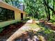 Backyard view with patio area and surrounding mature trees at 3529 Tanglewood Trl, Palm Harbor, FL 34685
